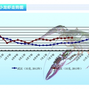 Сr½ˮa(chn)ǰء201310¿Ј(chng)څ(sh)