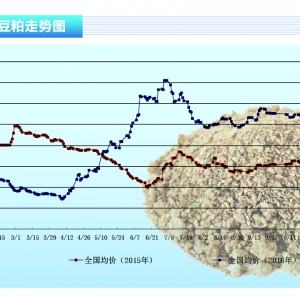 ɣ鲻 (ni)ɃrY(ji)(gu)֧^(qing)ˮa(chn)ǰء201612¿ ...