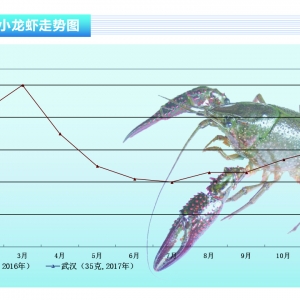 Сrm(x)½ r(ji)񡪡ˮa(chn)ǰء20172¿Ј(chng)څ(sh)