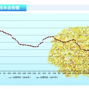 ףۿڃr(ji)һһF(xin) Zq桪ˮa(chn)ǰء20173¿Ј(chng)څ(sh)