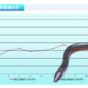 SXr(ji)񲨄(dng)׃q@-ˮa(chn)ǰء20182¿Ј(chng)څ(sh)