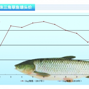 ~ץ~顰ꡱˮa(chn)ǰء20183¿Јڅ