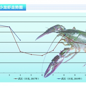 Сr r(ji)»ˮa(chn)ǰء20185¿Јڅ