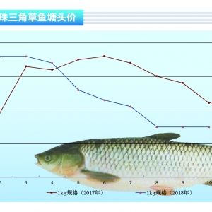 ~ȫ~鷀(wn)Խˮa(chn)ǰء201811¿Јڅ