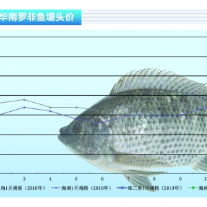 _~~~r(ji)ϝqˮa(chn)ǰء20192¿Ј(chng)څ(sh)