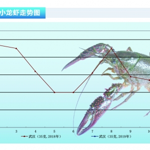 СrЈN½r(ji)ˮa(chn)ǰء20191¿Јڅ