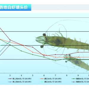 r漱rrϝqˮa(chn)ǰء20194¿Јڅ