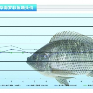 _~N񣬶~r(ji)yqˮa(chn)ǰء20195¿Ј(chng)څ(sh)