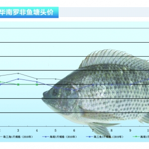 _~ӹSُ(gu)r(ji)^m(x){(dio)ˮa(chn)ǰء20196¿Ј(chng)څ(sh)