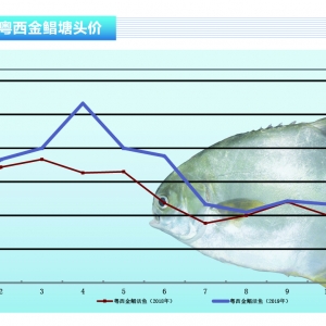 K~ӭ4顪ˮa(chn)ǰء201911¿Јڅ