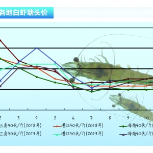 (du)r:rr(ji)uu(f)K(ji)׌rr(ji)شˮa(chn)ǰء20201¿Ј(chng)څ(sh)