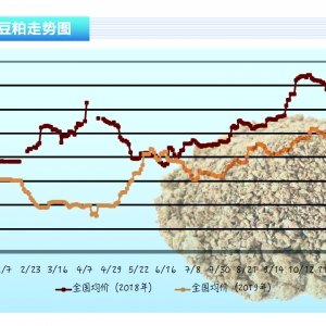 ɣһڅf(xi)hP (ni)ɄtʬF(xin)(sh)ˮa(chn)ǰء20201¿Ј(chng)څ(sh)