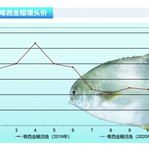 K~rK~ȫϾпáˮa(chn)ǰء20203¿Јڅ