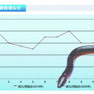 SXr(ji)񶸽_̫󡪡ˮa(chn)ǰء20203¿Ј(chng)څ(sh)