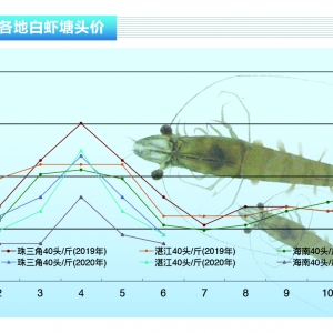 (du)r:鷴ӄrr(ji)µˮa(chn)ǰء20207¿Ј(chng)څ(sh)