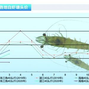 (du)rM(fi)֏(f)rϝqпáˮa(chn)ǰء20204¿Ј(chng)څ(sh)