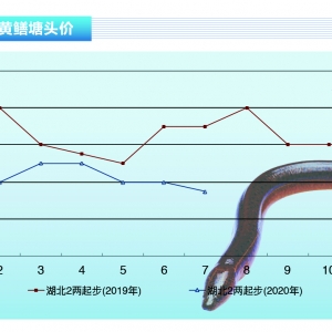 SXwS(wn)лϝqܡˮa(chn)ǰء20208¿Ј(chng)څ(sh)