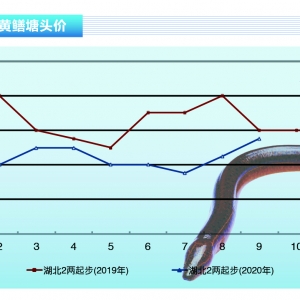 SXwS(wn)лϝqܡˮa(chn)ǰء202010¿Ј(chng)څ(sh)