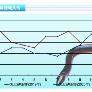 SX10~r(ji)ϝqF(xin)(dng)ˮa(chn)ǰء202011¿Ј(chng)څ(sh)