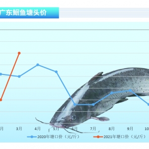 t~鱩q2-3Ҏ(gu)~ϡȱˮa(chn)ǰء20214¿Ј(chng)څ(sh)