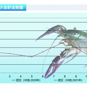 Сrqrr20Ԫ/ˡˮa(chn)ǰء20213¿Јڅ