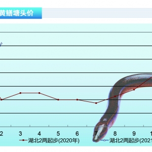 SX(ji)~r(ji)ϝqˮa(chn)ǰء20213¿Ј(chng)څ(sh)