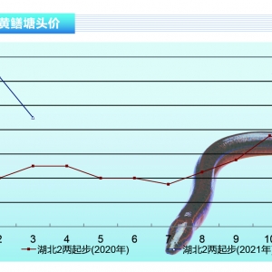 SX~r(ji)(dng)߀ϝqgˮa(chn)ǰء20214¿Ј(chng)څ(sh)