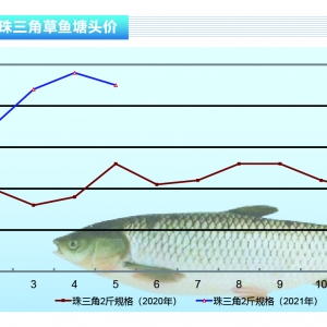 ~ӿ~Ул䡪ˮa(chn)ǰء20216¿Ј(chng)څ(sh)