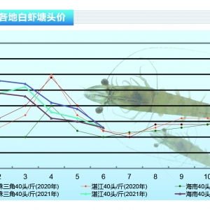 (du)rȫ(gu)rr(ji)ȫµⲡrࡪˮa(chn)ǰء20217¿Ј(chng)څ(sh)