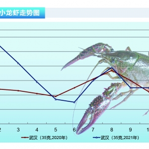 Сrhӏ(qing)ڹȡ顪ˮa(chn)ǰء202111¿Јڅ